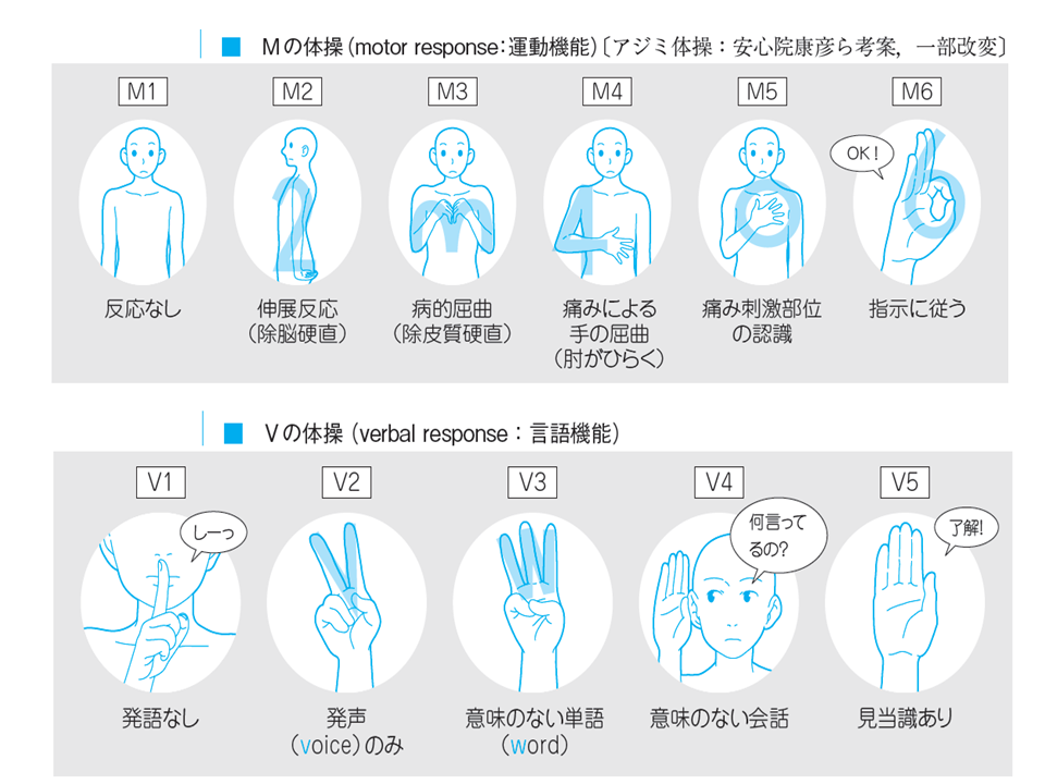 暗記法詳細 医ンプット 医療系学生の暗記サポート